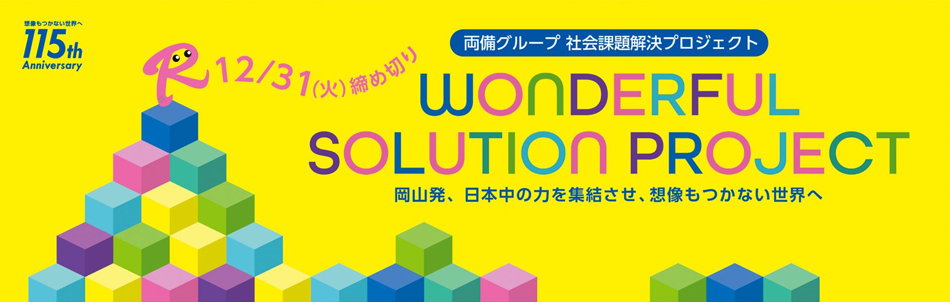 WONDERFUL SOLUTION PROJECT